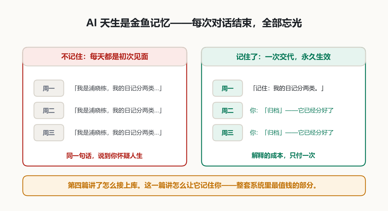 金鱼记忆对比